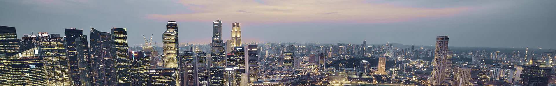 Singapore skyline