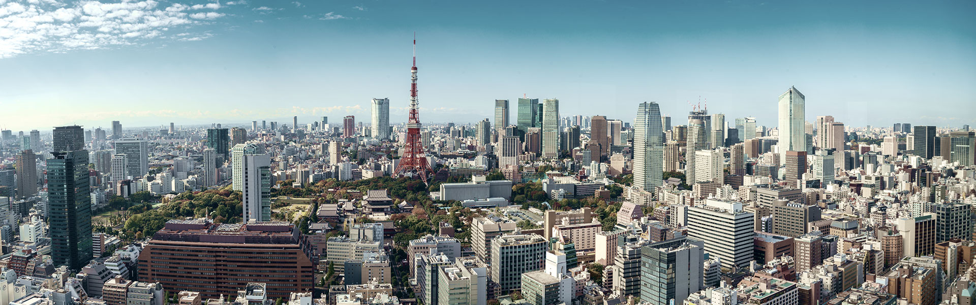 Tokyo skyline